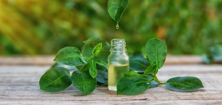 How To Use Tea Tree Oil For Hair Growth | Benefits | Hair Health & Thickness | Hair Loss Clinic | Hair Doctors Sydney, Melbourne, Parramatta